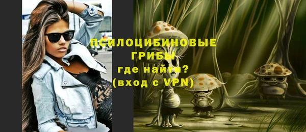 меф Белокуриха