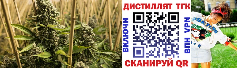 Дистиллят ТГК вейп  продажа наркотиков  darknet Telegram  Елабуга 